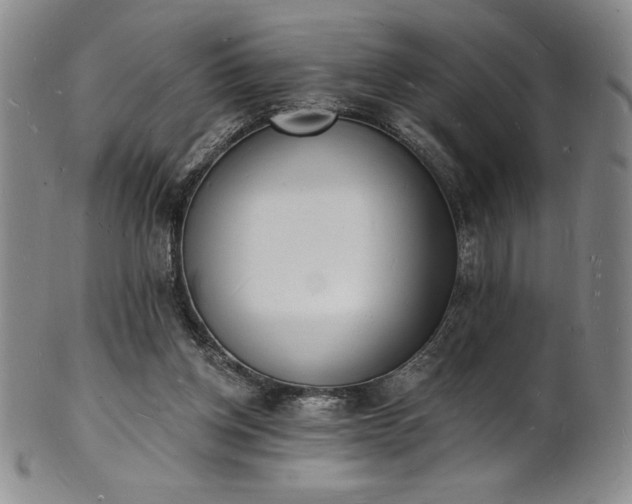 X0000101690158200807171443