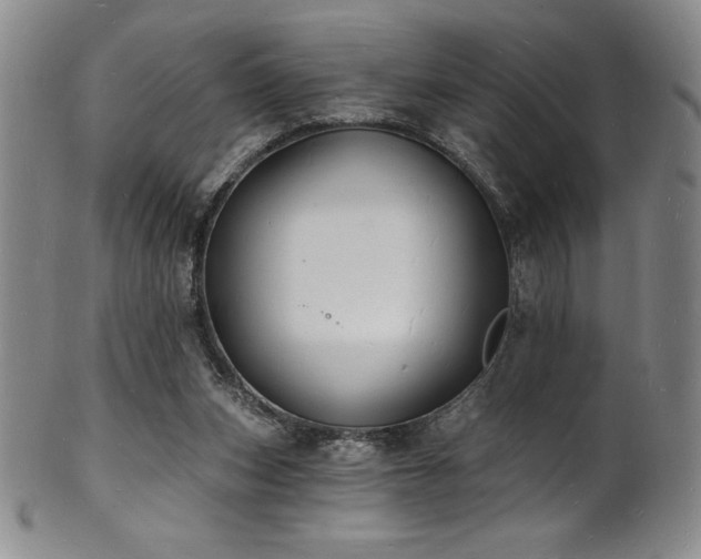 X0000101690159200807171443