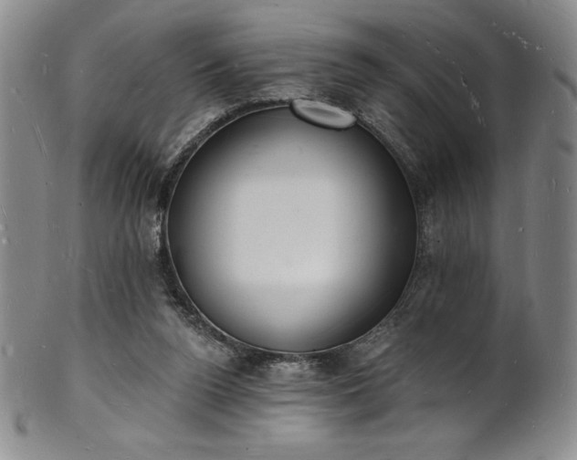 X0000101690160200807171443