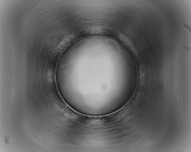 X0000101690161200807171443