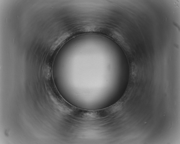 X0000101690164200807171443