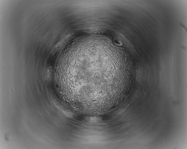 X0000101690165200807171443