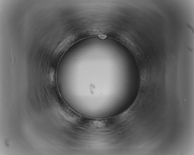 X0000101690166200807171443