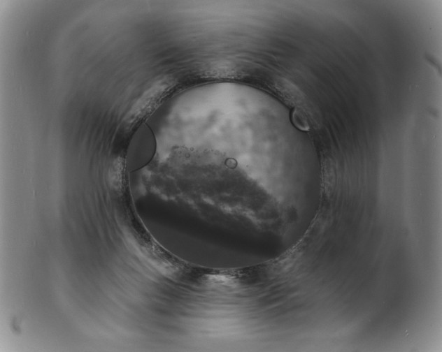 X0000101690167200807171443