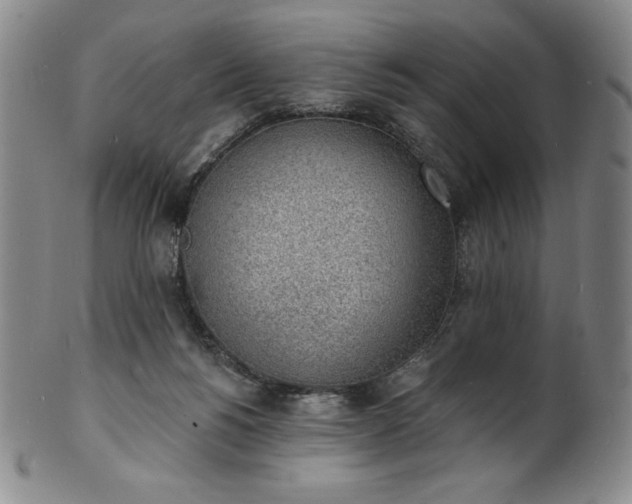 X0000101690168200807171443