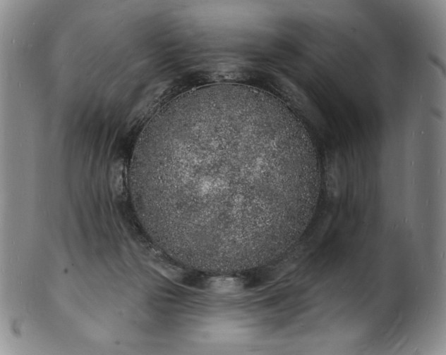 X0000101690169200807171443