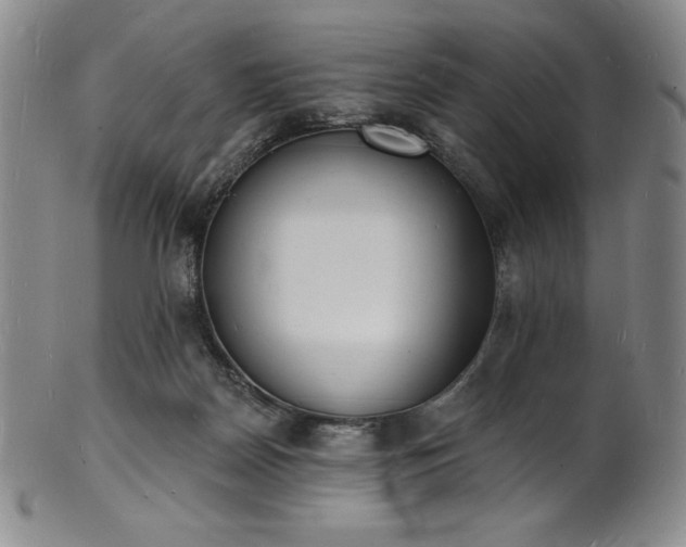 X0000101690170200807171443