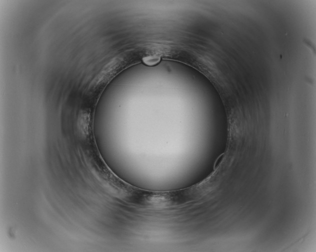 X0000101690171200807171443