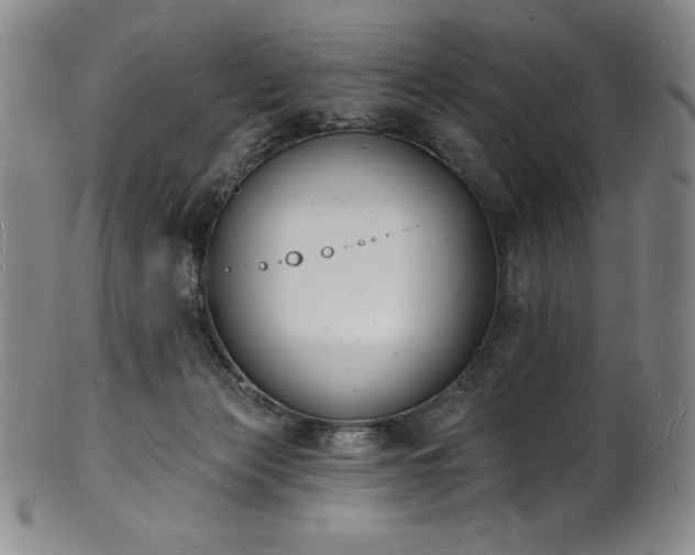 X0000101690173200807171443