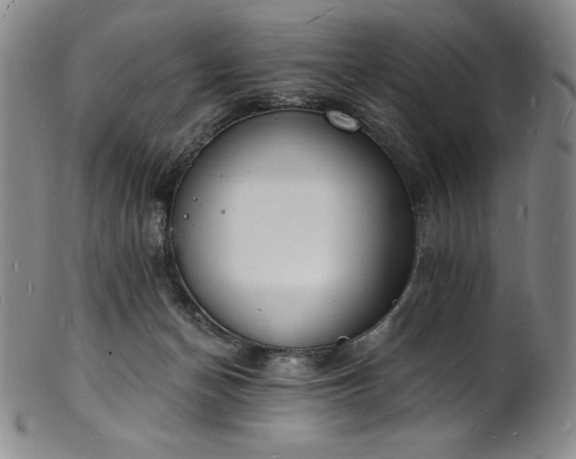 X0000101690174200807171443