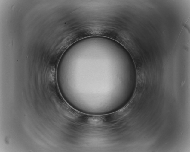 X0000101690175200807171443