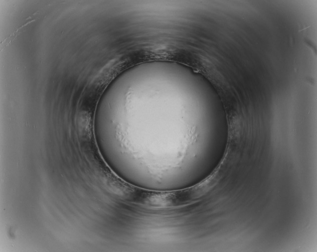 X0000101690178200807171443