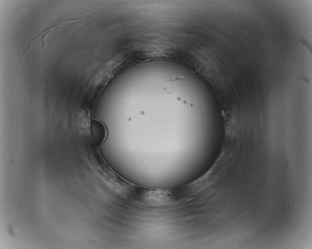 X0000101690179200807171444