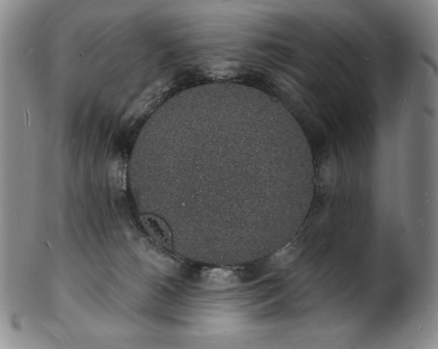 X0000101690180200807171444