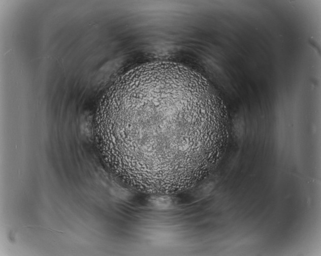 X0000101690181200807171444