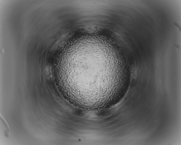 X0000101690182200807171444