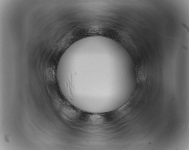 X0000101690183200807171444