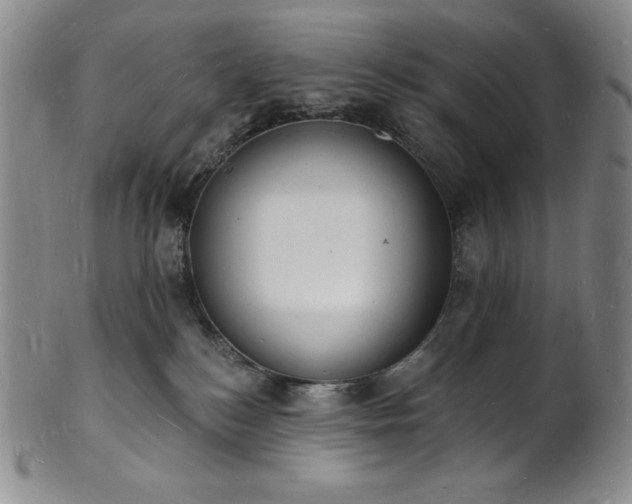 X0000101690184200807171444