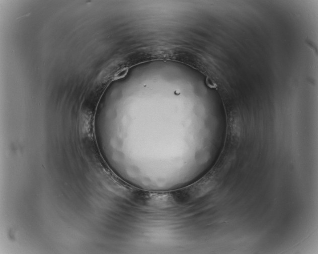 X0000101690185200807171444