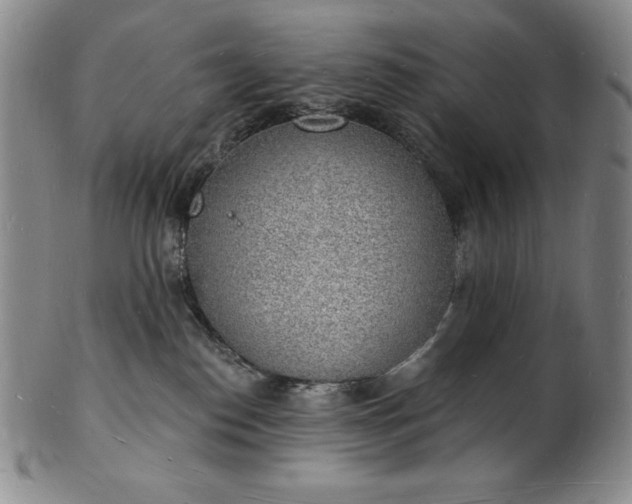 X0000101690186200807171444