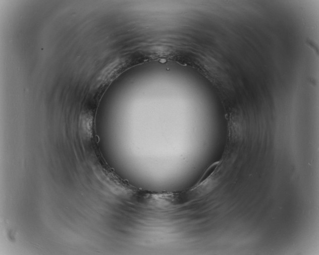 X0000101690188200807171444