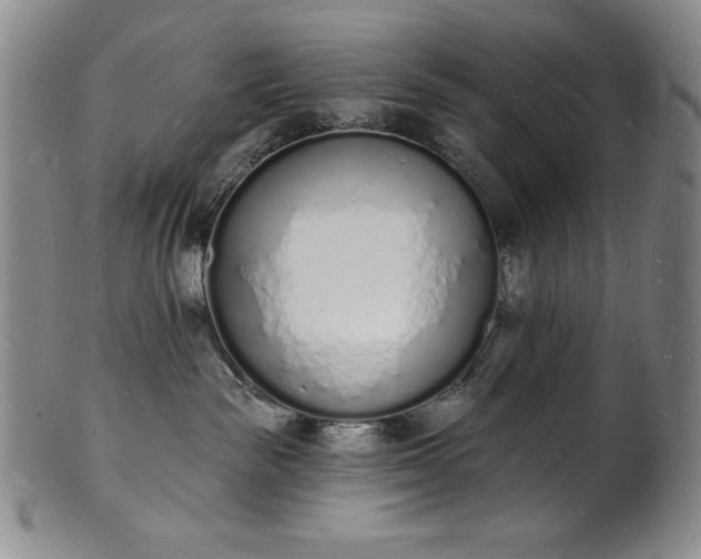 X0000101690189200807171444