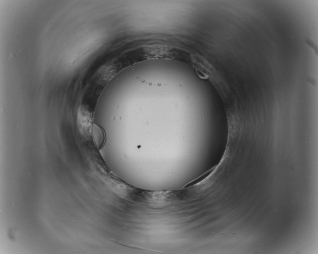 X0000101690191200807171444