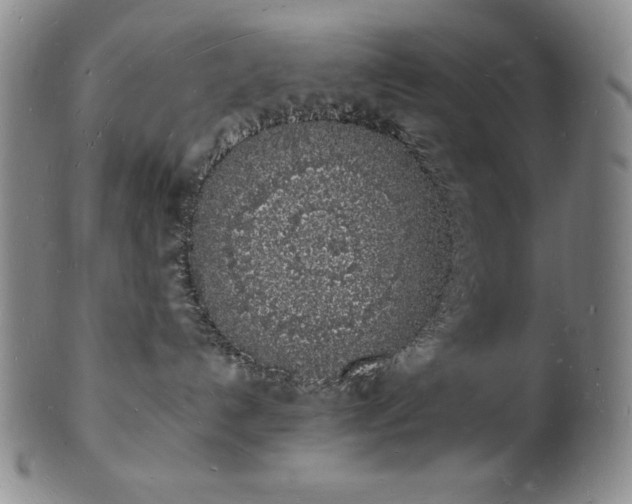 X0000101690192200807171444