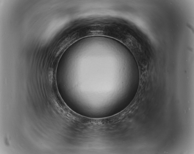 X0000101690194200807171443