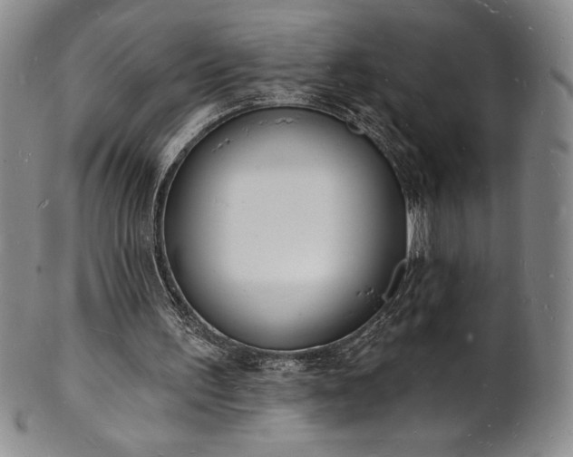 X0000101690195200807171443