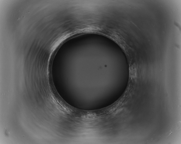 X0000101690196200807171443