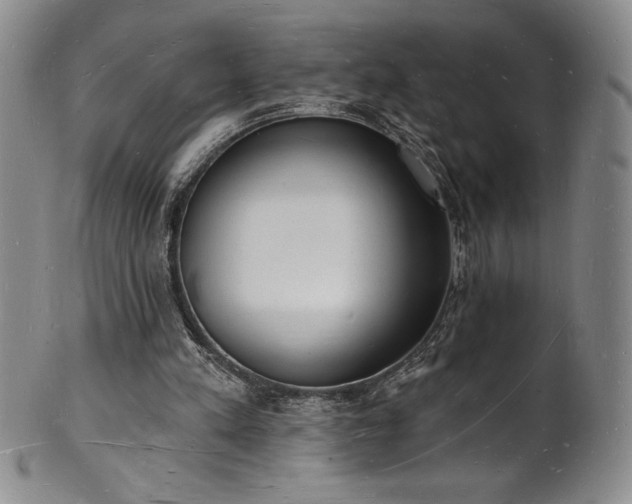 X0000101690197200807171443