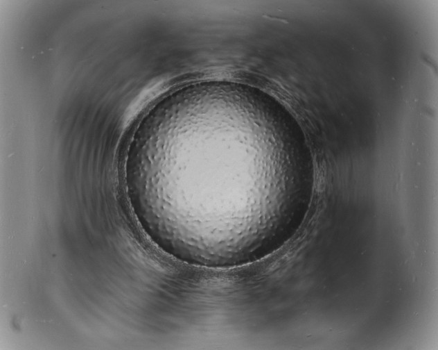 X0000101690198200807171443