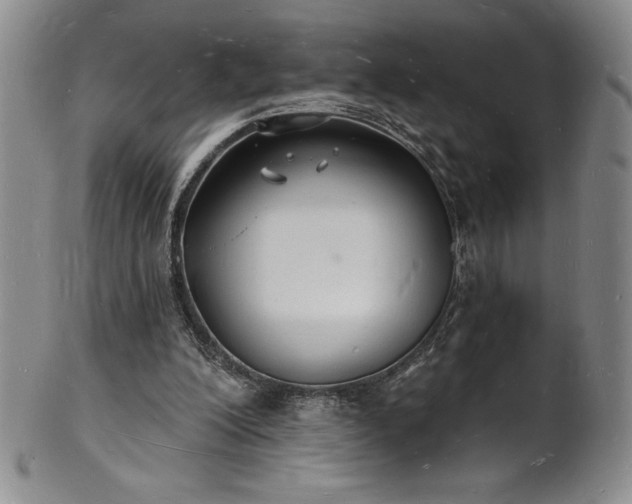 X0000101690200200807171443