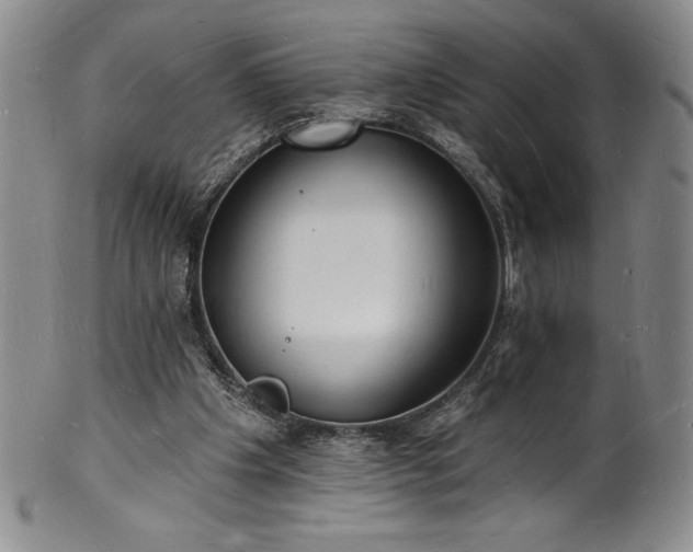 X0000101690201200807171443