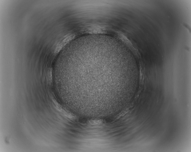 X0000101690202200807171443