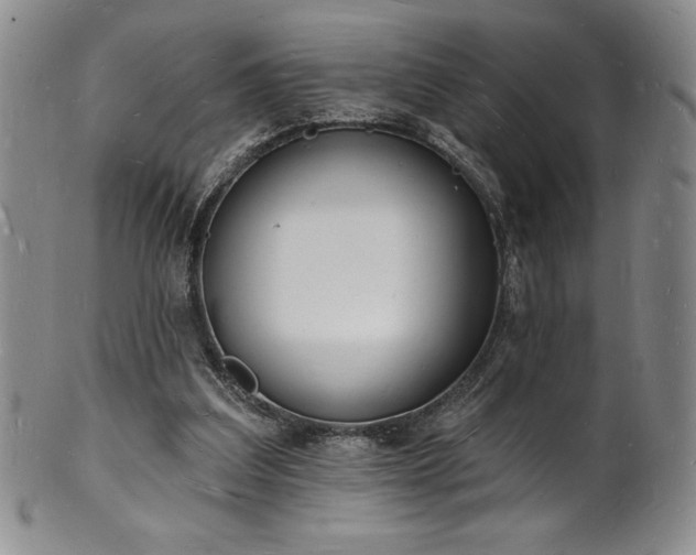 X0000101690203200807171443