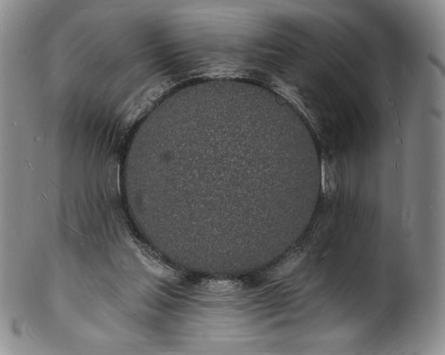 X0000101690205200807171443