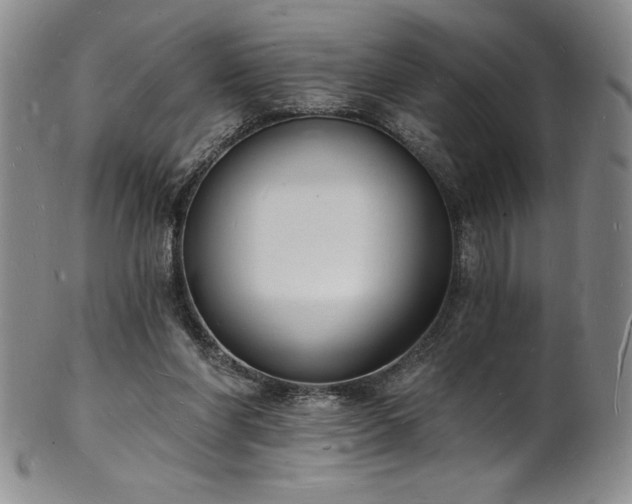 X0000101690206200807171443