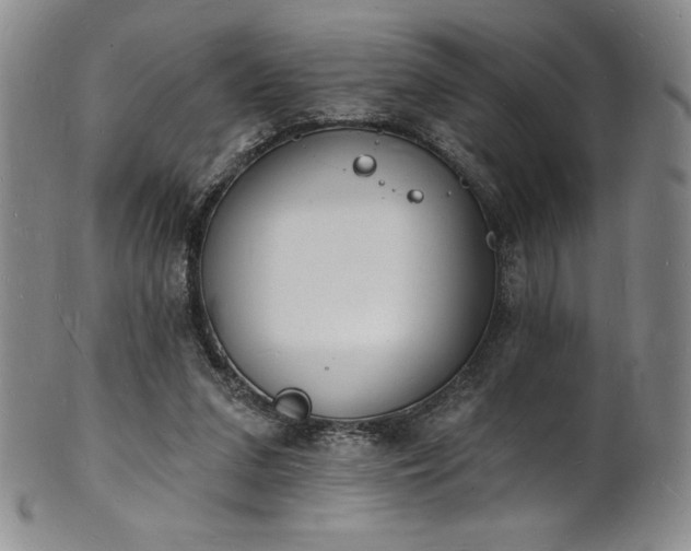 X0000101690207200807171443