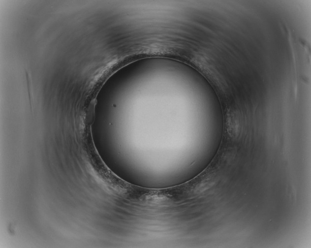 X0000101690208200807171443