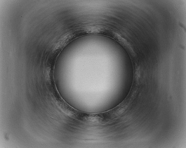 X0000101690209200807171443