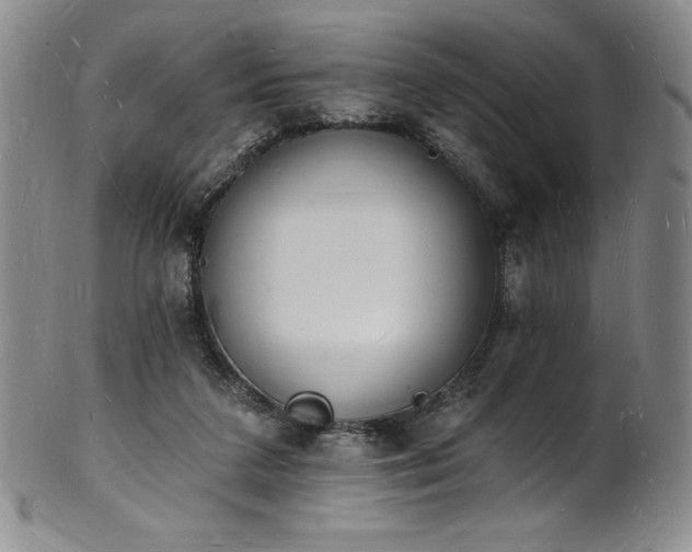 X0000101690211200807171443