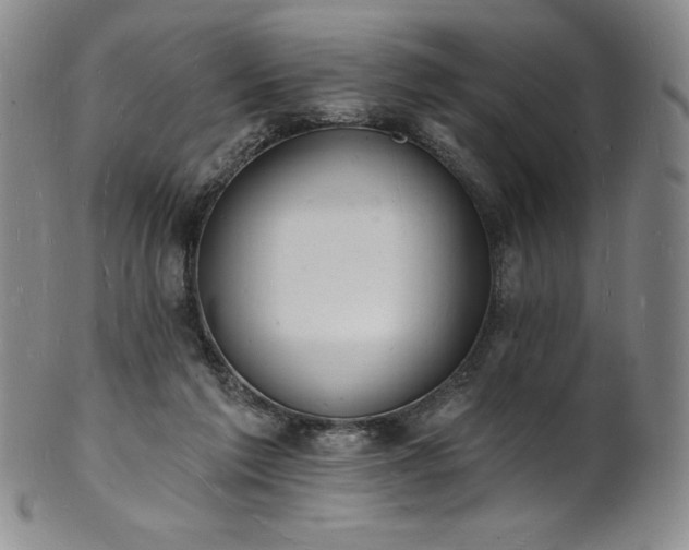 X0000101690213200807171443