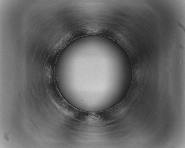 X0000101690215200807171443