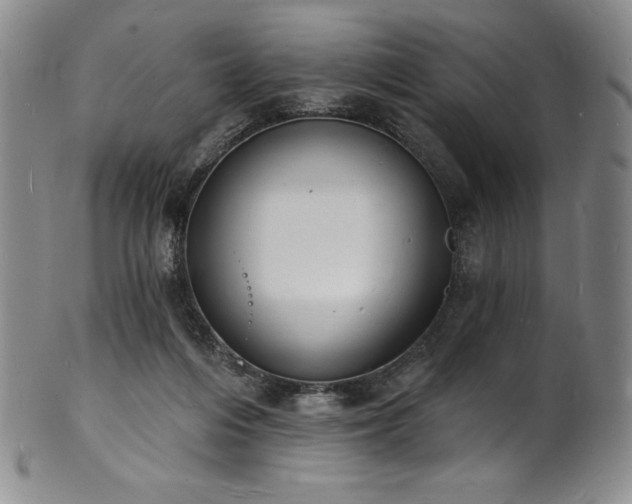 X0000101690216200807171443