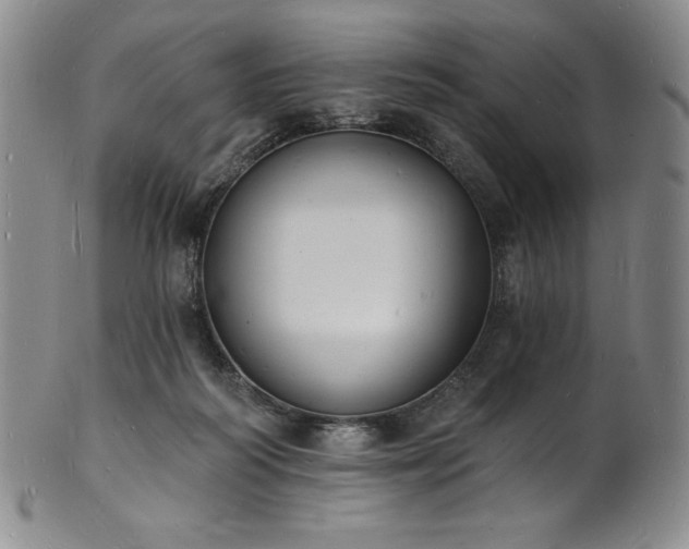 X0000101690218200807171443