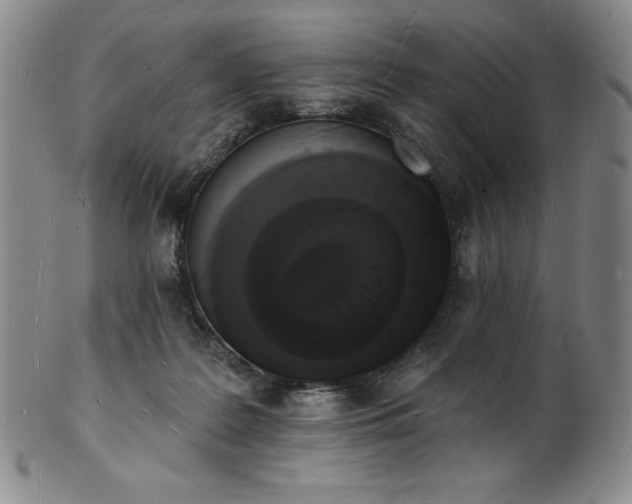 X0000101690219200807171442