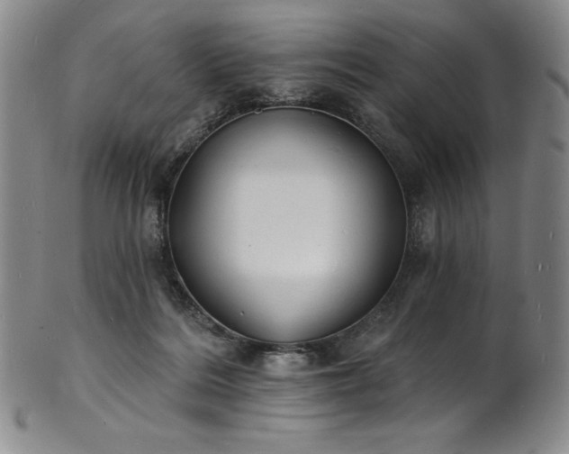 X0000101690220200807171442