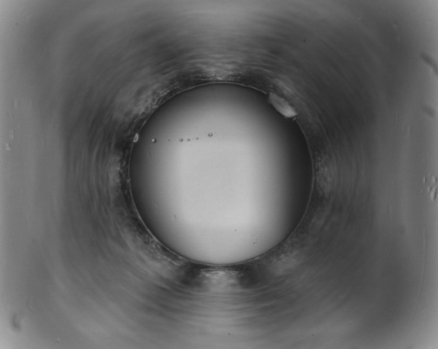 X0000101690221200807171442